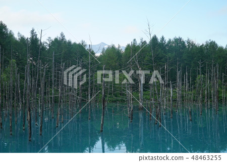 Biei Blue Pond 48463255