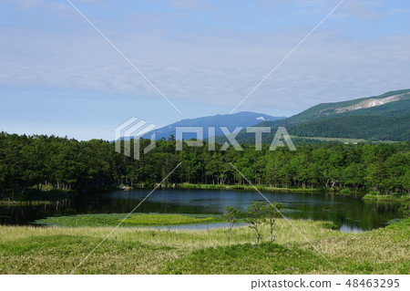 Shiretoko Goko 48463295