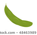 毛豆 48463989