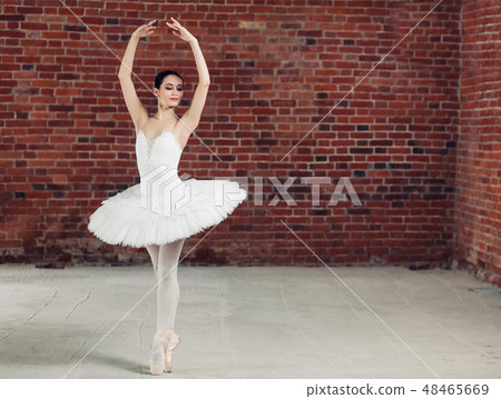 slim beautiful awesome dancer posing to the camera slim beautiful awesome dancer posing to the camera 48465669