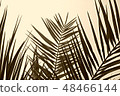 Silhouette palm leaves in monochrome style so cool 48466144