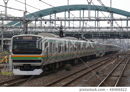 [JS]湘南新宿線E231系列（東海道直達線：特快服務） 48466822