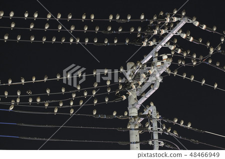 Macdoryl部落在Negra在市區 48466949