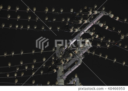 Macdoryl部落在Negra在市區 48466950