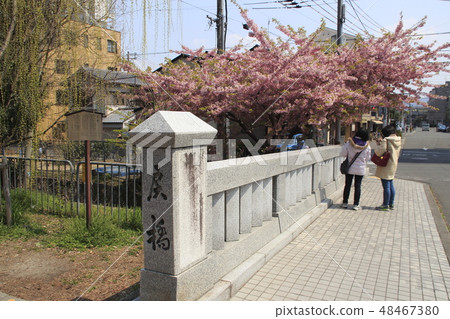 At Kyoto Ichijo bridge in spring 48467380