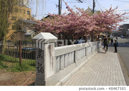 在京都Ichijo橋在春天 在京都Ichijo橋在春天 48467381