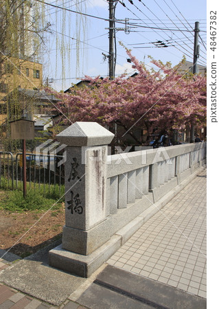 在京都Ichijo橋在春天 在京都Ichijo橋在春天 48467382
