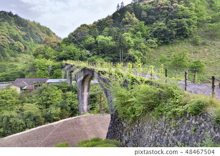 在Shimotsui Shimotsui Yusuhara河Shimanto河分支高知的Shogane橋樑 48467504