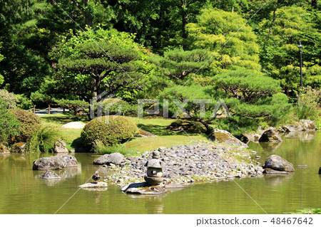 Japanese style garden Japanese style garden 48467642