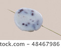 White Chinese sticky rice pudding (Put Chai Ko) 48467986
