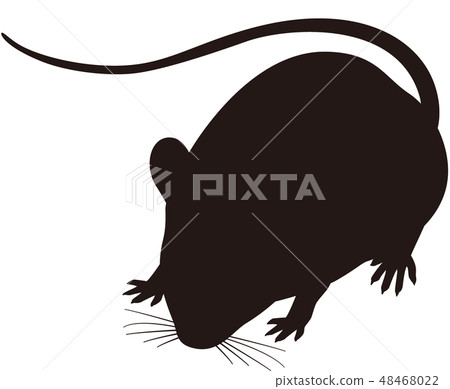 Mus musculus silhouette - Stock Illustration [48468022] - PIXTA