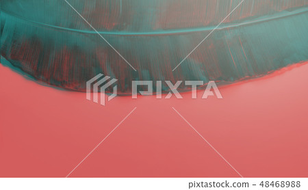 Big green banana leaf. Top view minimal concept Big green banana leaf. Top view minimal concept 48468988