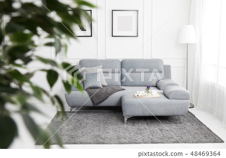 客廳配有灰色布藝沙發 48469364