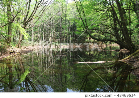 Toshiba's pond The twelve lakes of snow melting away Toshiba's pond The twelve lakes of snow melting away 48469634