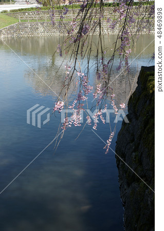 鳥取春天Shikano四季走 48469898