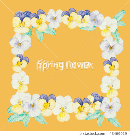Pansy decorative frame for spring and winter Pansy decorative frame for spring and winter 48469919