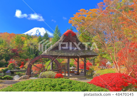 [山梨縣]秋葉與富士山的鱒魚屋 48470145