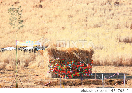 告別節，節日，新星節，願望清單 48470243