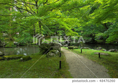 Mr. Kitaya Park ruins garden Mr. Kitaya Park ruins garden 48470260