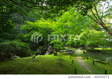 Mr. Kitaya Park ruins garden Mr. Kitaya Park ruins garden 48470271