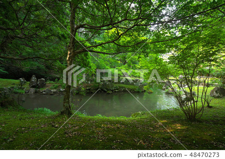 Mr. Kitaya Park ruins garden Mr. Kitaya Park ruins garden 48470273