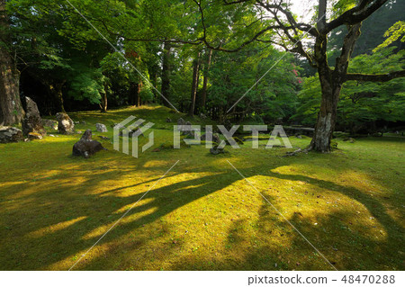 Mr. Kitaya Park ruins garden Mr. Kitaya Park ruins garden 48470288