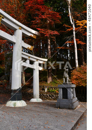 Sanmine寺廟秋葉 Sanmine寺廟秋葉 48471040