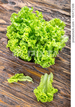 lettuce on the board lettuce on the board 48471386