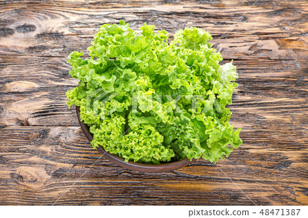 lettuce on the table 48471387