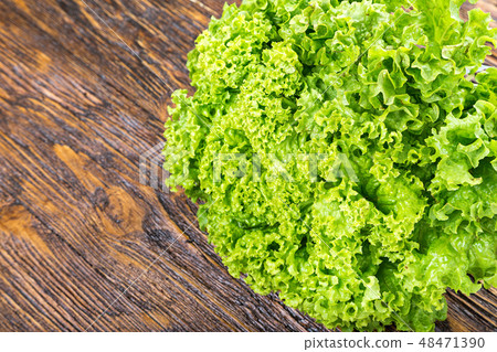 lettuce on the table lettuce on the table 48471390