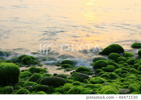 The Sea of Spring! , Morning sea 48471530