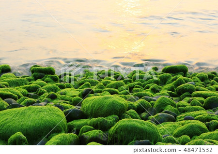 The Sea of Spring! , Morning sea The Sea of Spring! , Morning sea 48471532