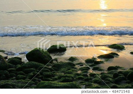 春天的海！ ，早上海 48471548