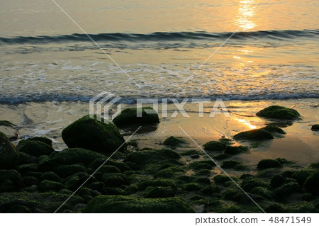 春天的海! ,早上海 春天的海! ,早上海 48471549