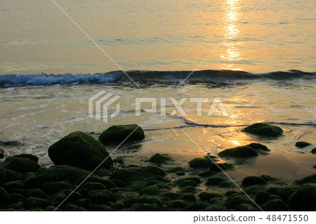 The Sea of Spring! , Morning sea 48471550