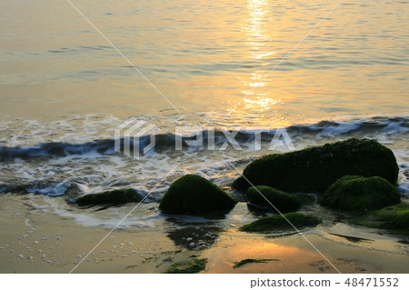 The Sea of Spring! , Morning sea The Sea of Spring! , Morning sea 48471552