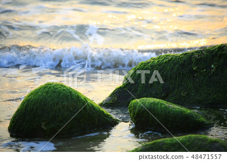 The Sea of Spring! , Morning sea The Sea of Spring! , Morning sea 48471557