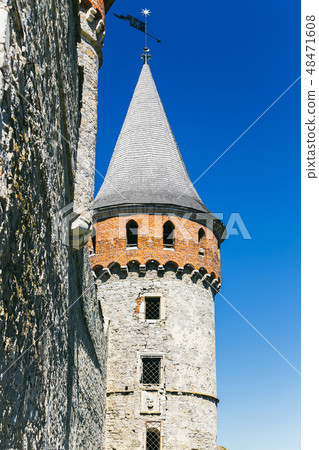 Beautiful castle on a mountain hill 48471608