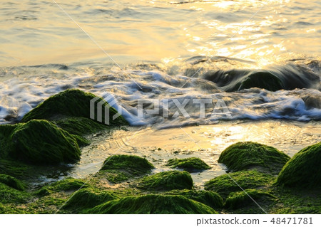 Spring sea! The sound of spring! Spring sea! The sound of spring! 48471781