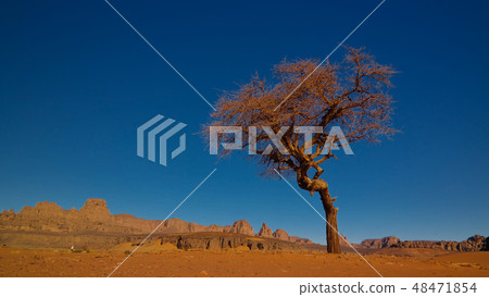 Moul Naga valley at Tassili nAjjer park in Algeria 48471854