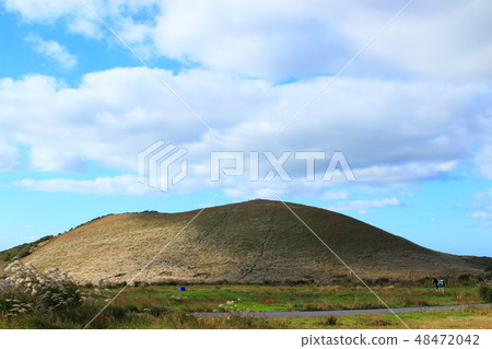 New Star Oreum, Eulalia, Autumn, View, 48472042