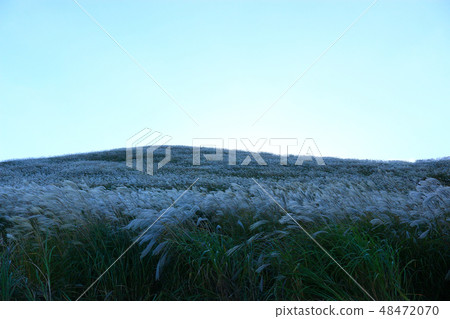New Star Oreum, Eulalia, Autumn, View, New Star Oreum, Eulalia, Autumn, View, 48472070
