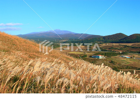 New Star Oreum, Eulalia, Autumn, View, New Star Oreum, Eulalia, Autumn, View, 48472115