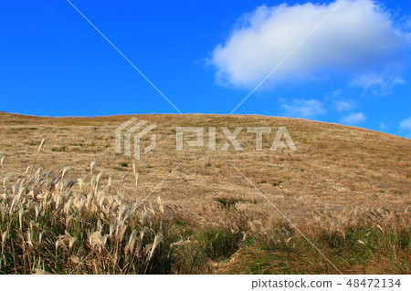 New Star Oreum, Eulalia, Autumn, View, New Star Oreum, Eulalia, Autumn, View, 48472134
