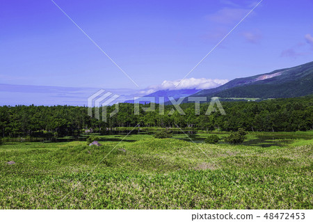 從知床湖觀景台,一湖,知床山脈的夏天景色 從知床湖觀景台,一湖,知床山脈的夏天景色 48472453