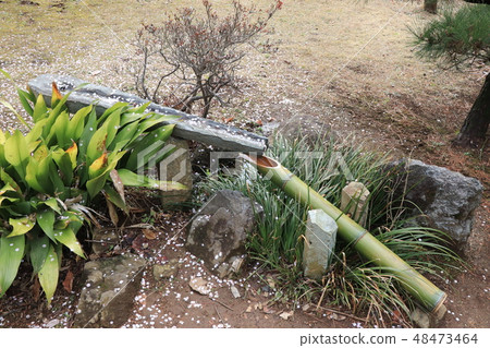 Scattered flower of Shishoshi and plum Scattered flower of Shishoshi and plum 48473464