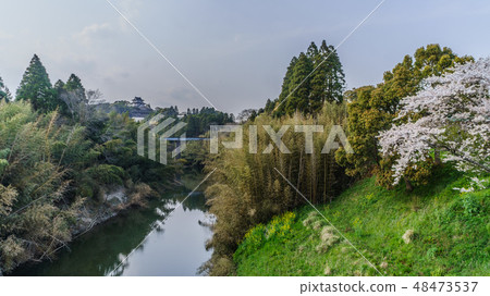 Landscape of Otaki Castle in Spring Landscape of Otaki Castle in Spring 48473537