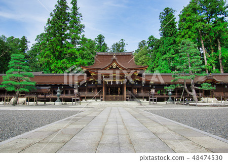 Taga Taisha Taga Taisha 48474530