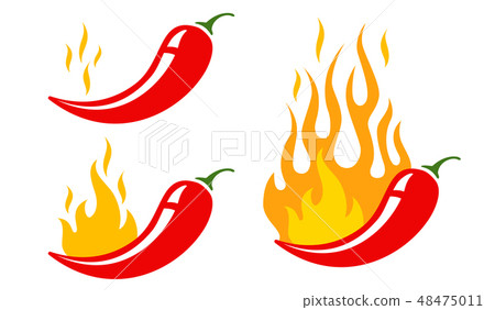 hot chilli pepper 48475011