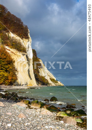 Baltic Sea coast on the island Moen in Denmark 48475493